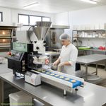 MAQUINA-DE-SALGADOS-DUPLO-RECHEIO-7G-ATE-180G-SALGAMIX-5.0-PRO-EPOXI-PAINEL-DIGITAL-BIVOLT---BAILON