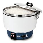 PANELA-DE-ARROZ-GAS-GLP-RR50A---RINNAI