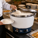 PANELA-DE-ARROZ-GAS-NATURAL-RR50A---RINNAI