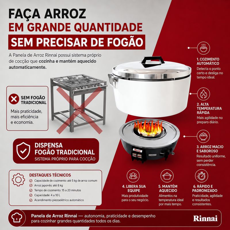 PANELA-DE-ARROZ-GAS-NATURAL-RR50A---RINNAI